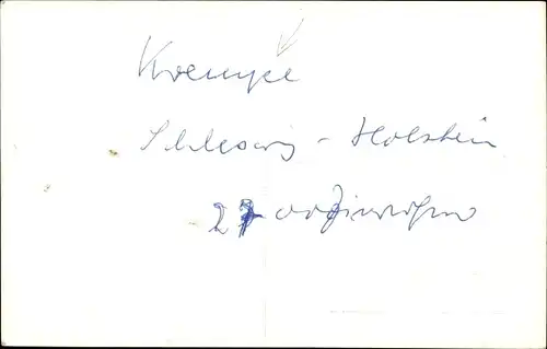 Foto Ak Krempe in Holstein, Fähndelschwenker, Publikum