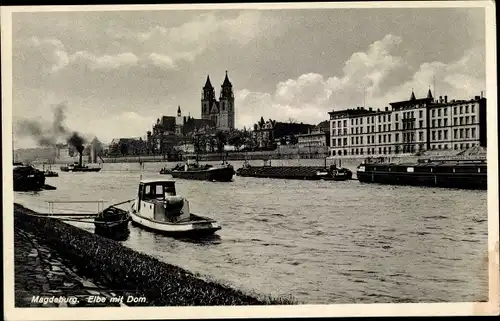 Ak Magdeburg, Elbe mit Dom