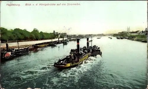 Ak Magdeburg an der Elbe, von der Königsbrücke, Stromelbe, Dampfer