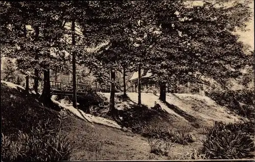 Ak Chemnitz Sachsen, Partie am Küchwald