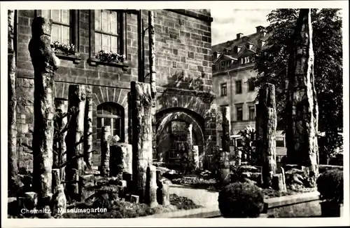 Ak Chemnitz, Museumsgarten, versteinerte Bäume