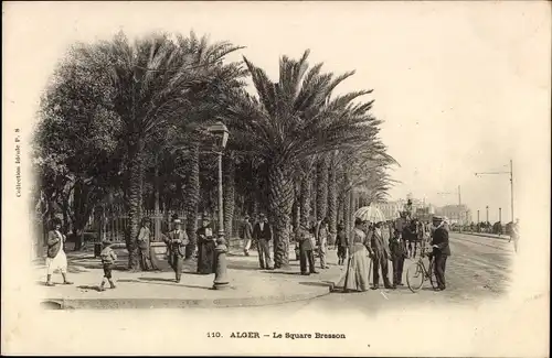 Ak Algier Alger Algerien, Le Square Bresson, Straßenpartie, Palmen