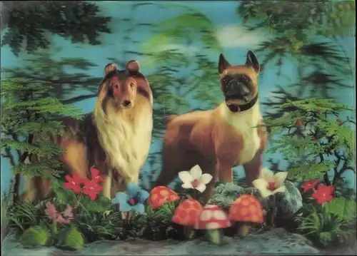 3 D Ak Les deux chiens, zwei Hunde, Pilze, Collie, Boxer