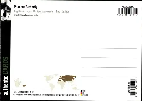 3 D Ak Peacock Butterfly, Tagpfauenauge, Schmetterling