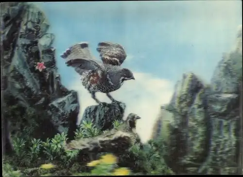 3-D Ak Vögel im Gebirge