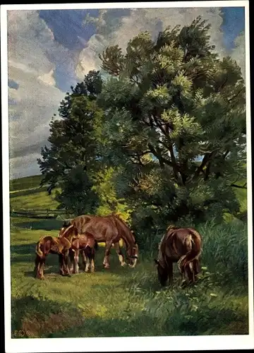 Künstler Ak Keller Kühne, J. W., Pferde auf der Weide