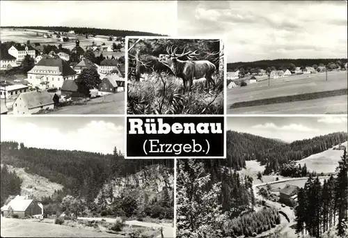 Ak Rübenau Marienberg im Erzgebirge Sachsen, Blick auf den Ort mit Umgebung, Hirsch