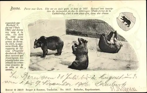 Passepartout Ak Bern Stadt Schweiz, Fosse aux Ours, Bärenzwinger