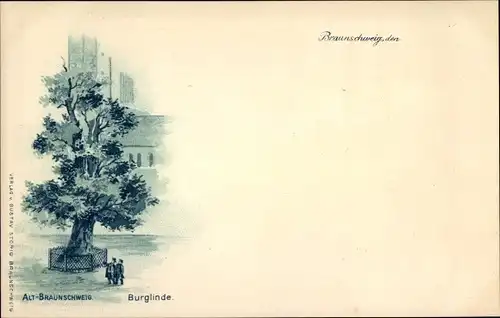 Litho Braunschweig in Niedersachsen, Burglinde