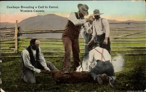 Ak Kanada, Cowboys Branding a Calf in Corral