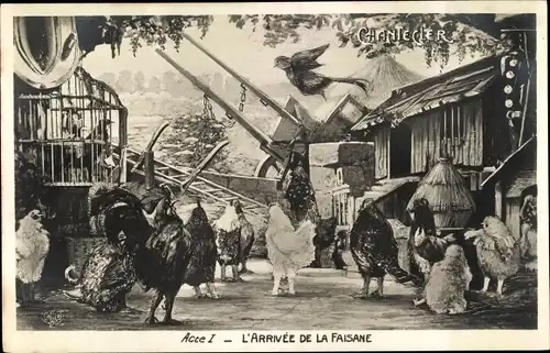 Ak Chantecler Acte I, L'Arrivee de la Faisane, Hühner, Theaterszene