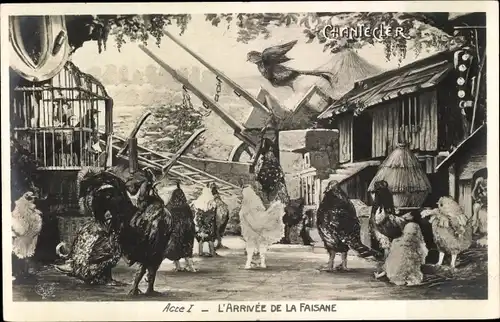 Ak Chantecler Acte I, L'Arrivee de la Faisane, Hühner, Theaterszene