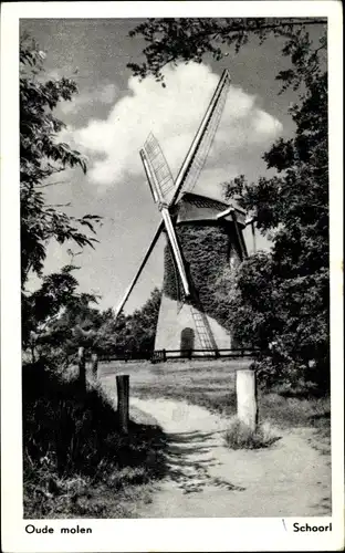 Ak Schoorl Nordholland Niederlande, Molen