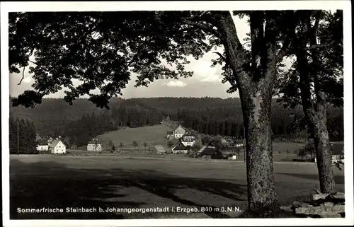 Ak Steinbach Johanngeorgenstadt im Erzgebirge, Blick auf den Ort, Gasthof Ernst