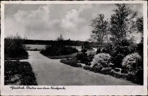 Ak Gladbeck im Ruhrgebiet Westfalen, Partie aus dem Nordpark