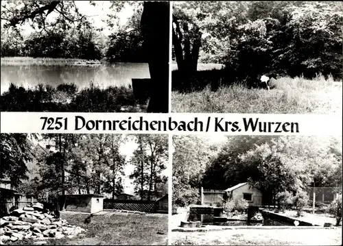 Ak Dornreichenbach Lossatal, Waldpartien, Gewässer, Teilansichten