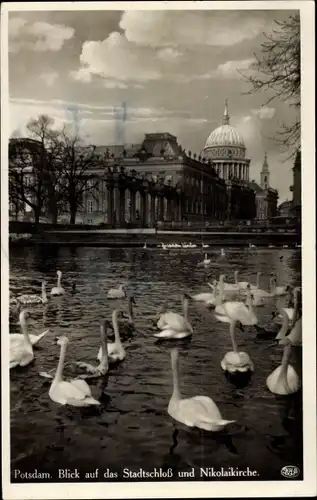 Ak Potsdam, Stadtschloss und Nikolaikirche