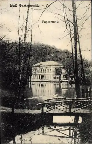 Ak Bad Freienwalde an der Oder, Blick auf die Papenmühle, Steg, Schwan