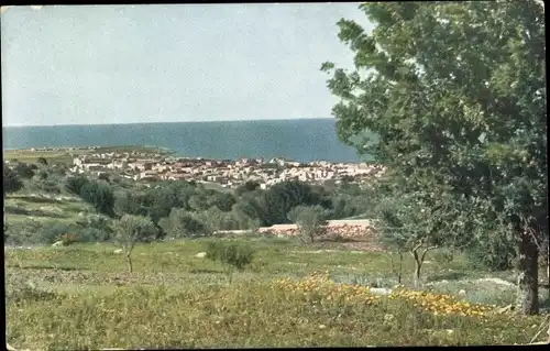Ak Haifa Israel, Blick auf die Stadt