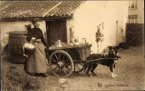 Ak Belgien, Laitière Flamande, Flämisches Milchmädchen, Zughund