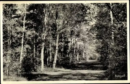 Ak Ermelo Gelderland, Bospad