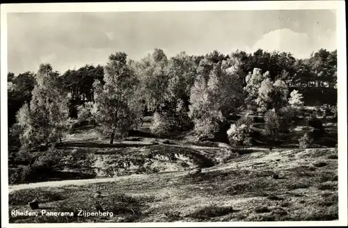 Ak Rheden Gelderland, Panorama Zijpenberg