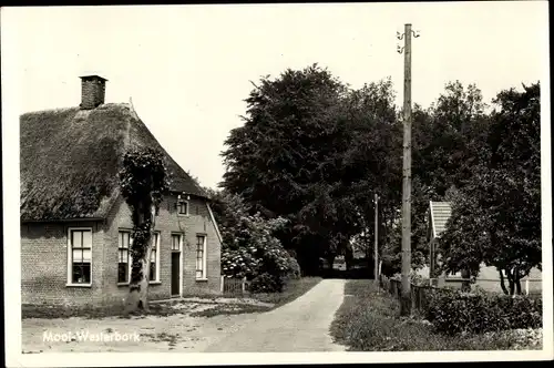 Ak Mooi Westerbork Drenthe Niederlande, Straßenpartie, Reetdachhaus