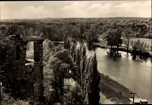 Ak Halle an der Saale, Partie an der Saale, Ruine