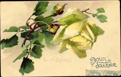 Künstler Litho Klein, Catharina, Rosenblüte