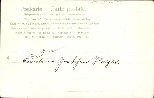 Litho Glückwunsch Neujahr, Engel, Hufeisen, Veilchen, Glücksklee