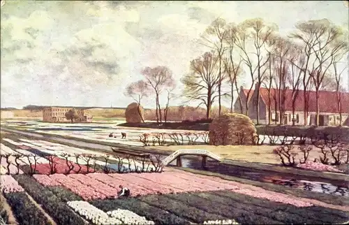 Künstler Ak Koster, A. L., De Bloem-Bollenvelden bij Lisse