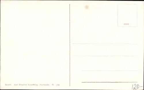 Künstler Ak Nyström, J., Glückwunsch Neujahr, Zwerg, Schwedische Fahne, Glücksklee