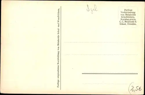 Künstler Ak Meinholds Schulbilder, Igel