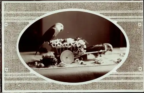 Passepartout Foto Ak Wellensichtich zieht einen Karren, Vögel