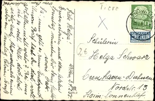 Ak Im Bade, Katze im Waschzuber