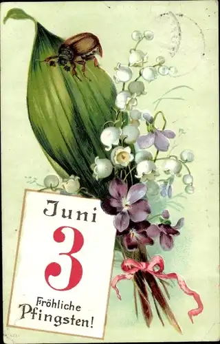 Präge Ak Glückwunsch Pfingsten, Maikäfer, Kalender Juni 11., Maiglöckchen