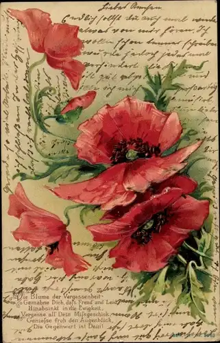 Präge Litho Rote Mohnblüten, Die Blume der Vergessenheit