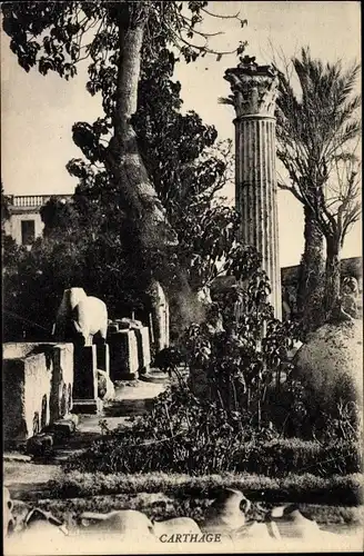 Ak Carthage Karthago Tunesien, Säulen, Ruinen