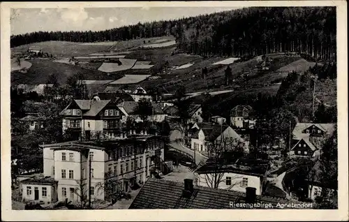 Ak Jagniątków Agnetendorf Hirschberg Riesengebirge Schlesien, Teilansicht