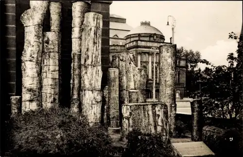 Ak Karl Marx Stadt Chemnitz in Sachsen, Versteinerter Wald am Museum