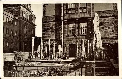 Ak Chemnitz in Sachsen, Museum, versteinerte Baumstämme