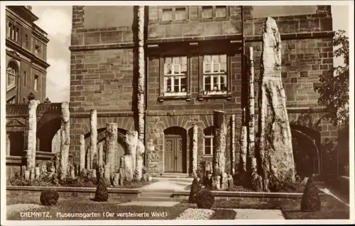 Ak Chemnitz in Sachsen, Museumsgarten, der versteinerte Wald