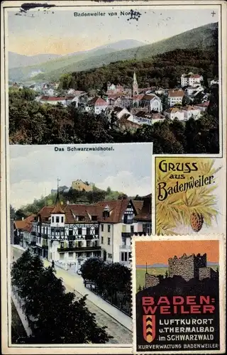 Ak Badenweiler im Schwarzwald, Schwarzwaldhotel, Panorama von Norden