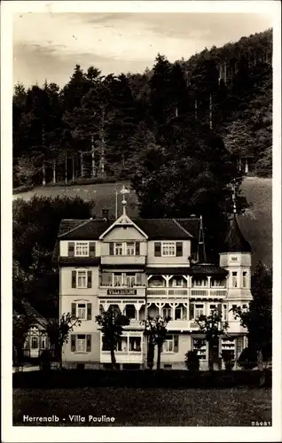 Ak Bad Herrenalb im Schwarzwald, Villa Pauline