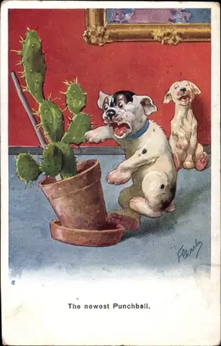 Künstler Ak The newest Punchball, Hund sticht sich an einem Kaktus
