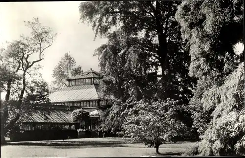 Ak Leiden Südholland Niederlande, Hortus Botanicus