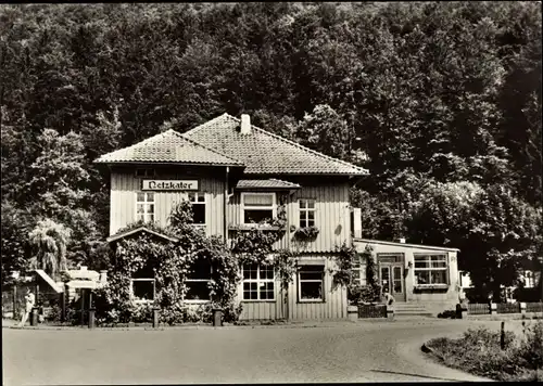 Ak Netzkater Ilfeld am Harz Thüringen, Gasthaus Netzkater