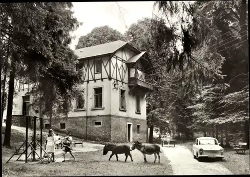 Ak Döbeln in Sachsen, Waldgaststätte Margareten-Mühle, Esel