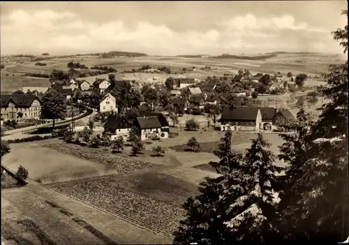 Ak Niederlungwitz Glauchau in Sachsen, Panorama