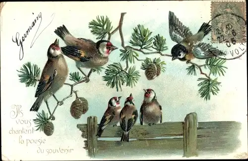 Präge Ak Buchfinken mit Kohlmeise auf Ast